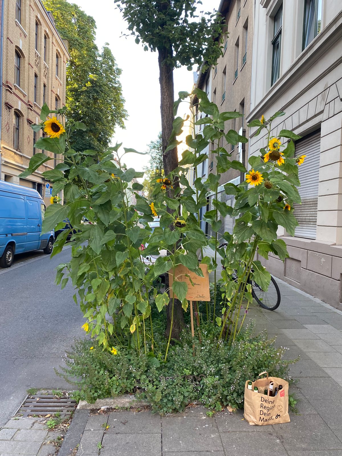 Moodbild #2