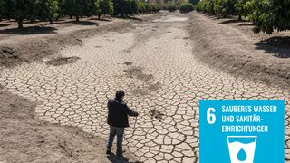 Cover-Bild der Rätseltour Heimspiel: Die trockene Wahrheit