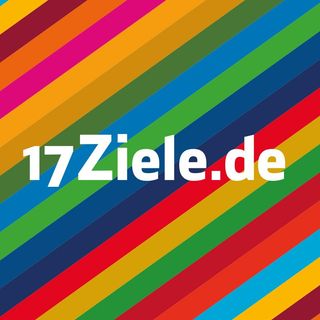 Portrait von #17Ziele + Carl Blaustein